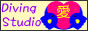 �X�^�W�I���E�o�i�[