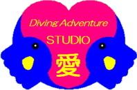 �X�^�W�I���E���S