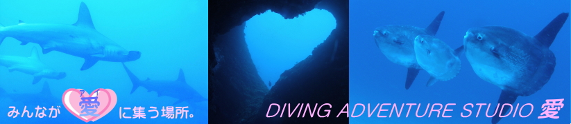 �悤�����IDIVING ADVENTURE STUDIO �� �ցI�I